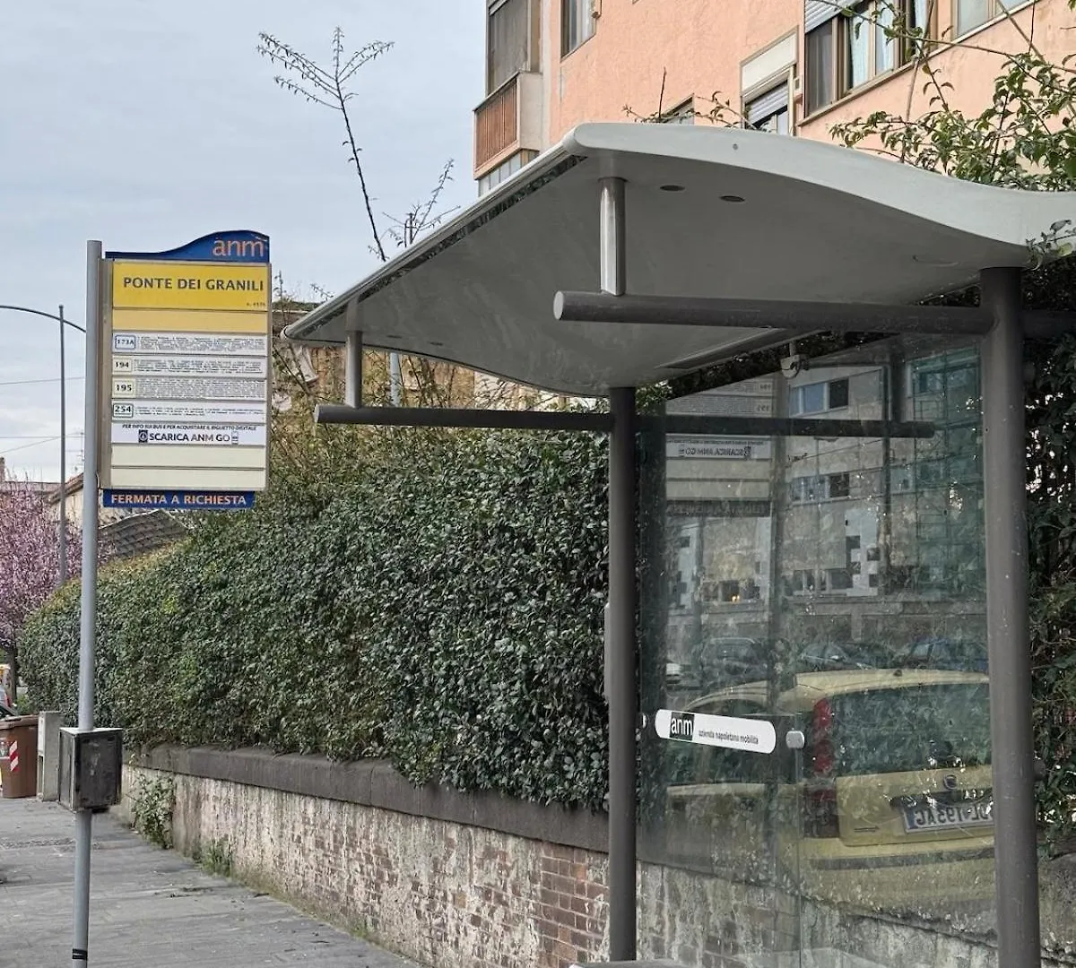 Dele Home Porto Neapol